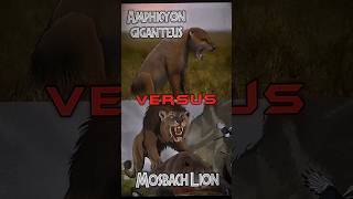 Mosbach Lion VS Amphicyon edit 1v1 prehistoricanimals [upl. by Ahsain839]