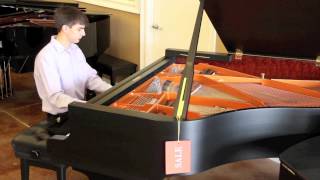 PianoWorks Demo of Schimmel Piano GP169T made 2001 [upl. by Lapotin]