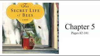 The Secret Life of Bees Chapter 5 pages 91100 [upl. by Lorelle]