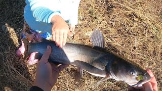 Pond Catfishing With My Daughter [upl. by Sela]