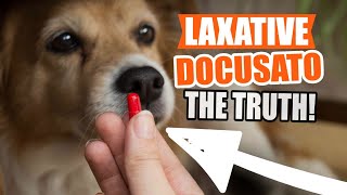 LAXATIVE for DOGS Sodium Docusate 🐶and What You Should Know [upl. by Krock]