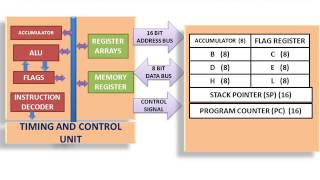 8085 Microprocessor Programming Model [upl. by Enitnelav]