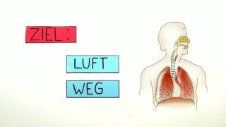 DER WEG DER ATEMLUFT  Biologie  Biologie des Menschen Mittelstufe [upl. by Sayce]