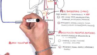 Pharmacology  Antihypertensives [upl. by Ortiz]