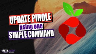 Update PiHole Using A Single Command [upl. by Udele103]