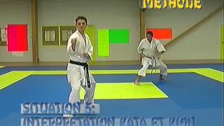 Kata Kumité et Bunkaï Jitte Kanku Sho Tekki Sandan Empi Heian Shodan Unsu Hangetsu [upl. by Enerak]