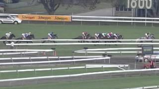 2004 Sydney Cup Makybe Diva [upl. by Hazeefah]