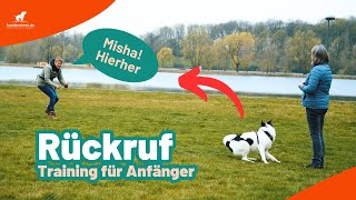 Rückruftraining für Anfänger  So trainierst du den Rückruf mit deinem Hund [upl. by Namilus622]