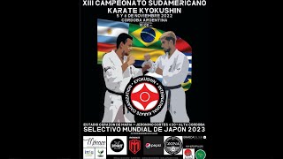 XIII Sudamericano Kyokushin  Charly [upl. by Ranjiv219]