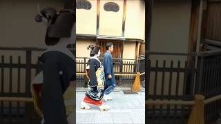 京都・祇園 槇沙子さん（芸妓） 襟替え（2） MasakoGeiko  Gion Kyoto [upl. by Ecinreb]