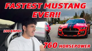 Duniya ki Fastest Mustang Kya special hai SHELBY GT500 mei [upl. by Wendt]