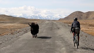 Cycling Solo the Silk Road on a Gravel Bike  12000km and 18 countries [upl. by Zenobia22]