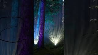 The Enchanted Forest 2023 sound amp light show From the Deep near Pitlochry in Scotland shorts [upl. by Ponce]