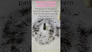 Circular Magnet Magnetic Field  shorts [upl. by Olnek]