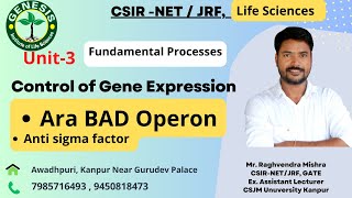 Ara BAD Operon  Gene regulation  Molecular Biology [upl. by Prentice]