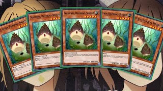 My Naturia Bamboo Shoot Beatdown Yugioh Deck Profile for April 2023 [upl. by Enalda]