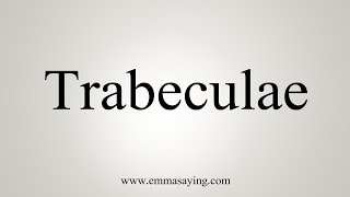 How To Say Trabeculae [upl. by Anibor]