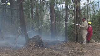 Incendios forestales en Colombia siguen fuera de control y arrasan 9000 hectáreas [upl. by Tullusus725]