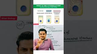 What is Cytoskeleton neet ncertbiology nursing shorts [upl. by Atazroglam]