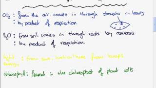 Photosynthesis an introduction for Leaving Cert Biology students [upl. by Magas887]