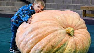 Giant veg on display at the Malvern Autumn Show  SWNS [upl. by Ydroj911]