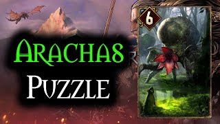 Arachas Puzzle  Thronebreaker The Witcher Tales [upl. by Idell]