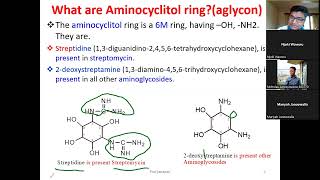 Aminoglycosides Antibiotics Aminocyclitol rings chemical Properties and Structure of Streptomycin [upl. by Ahcarb]