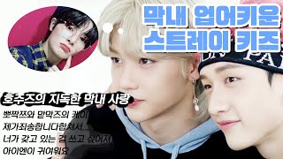 막내 업어키운 스트레이 키즈 필릭스 방찬 편 [upl. by Devora]