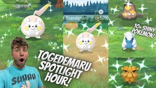 ✨Togedemaru Spotlight Hour In Pokemon Go✨ [upl. by Bruni]