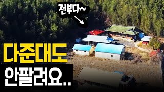 평당 5천원이 웬말 땅값이라도 건져야텃세없는 조용한 시골살이 [upl. by Jonathon]