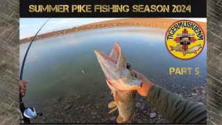 SUMMER PIKE FISHING SEASON 2024 PART 5 [upl. by Reger507]