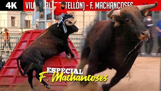 Especial FERNANDO MACHANCOSES con toros y vacas ◾ Feria de Otoño 2020 ◾ VILAREAL [upl. by Sarita]