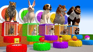 Animal Animation cartoon video  zoo animal cartoons for toddlers  Animalshomeanimation [upl. by Mumford]