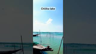 Chilika lake [upl. by Asillam119]