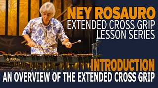 Ney Rosaro Extended Grip Lessons  Overview [upl. by Brandwein157]