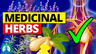 🌱Top 10 Most POWERFUL Medicinal Herbs Backed by Science [upl. by Ydolem]