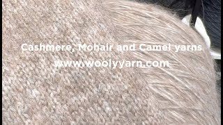 Cashmere Mohair and Camel yarns [upl. by Sredna]