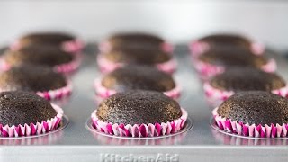 Easiest Best Ever Chocolate Cupcakes [upl. by Biddy]