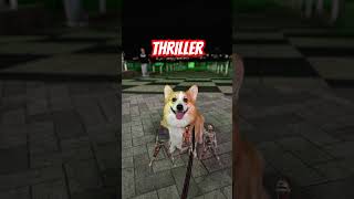 Do you Know Thriller shiba corgi 尻尾ありコーギー [upl. by Aken]