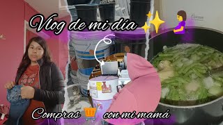 un poco de mi día estando embarazada 🤰 ✨ asiendo compras 🛒 con mi mamá vlog vidademama [upl. by Livingstone]