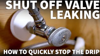 Leaking Shut Off Valve Under Sink  Faucet Valve Leaking  How to Fix a Leaky Shut Off Valve Quickly [upl. by Felizio226]