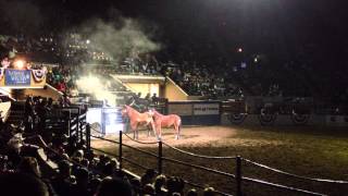 National Western Stock Show An amazing rodeo closing [upl. by Anidam]