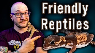 Top 5 Friendliest Reptiles  No Biting No Scratching All Love [upl. by Hgielram]