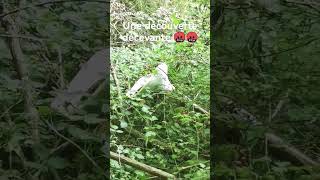 un tabouret de bar en pleine nature 🤬🤬 [upl. by Bette]