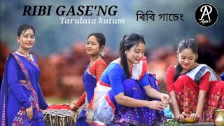 RIBI GASENG  Tarulata Kutum  Riyan Raj  Sewali amp Lakhimirani  Dance Cover video 2022 [upl. by Best]