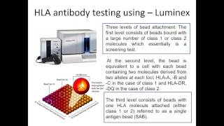 Immunological assissment of KTX [upl. by Cianca14]