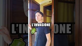 Linvasione 😳 [upl. by Kanter]