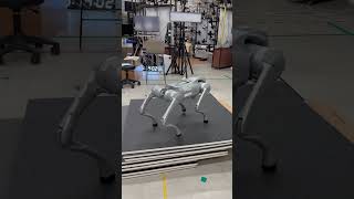 Unitree Go2 Quadruped Robot Climbing Stairs quadruped robot [upl. by Beverie]