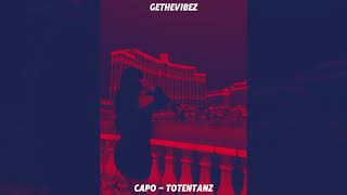 CAPO  TOTENTANZ SLOWED  REVERB [upl. by Yllek207]