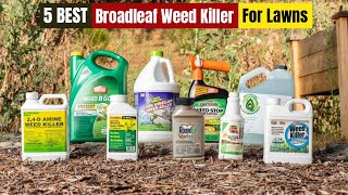 Best Broadleaf Weed Killer For Lawns of 2024 Updated [upl. by Bernt]